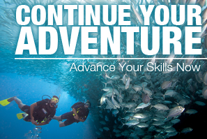 Continue Your Adventure