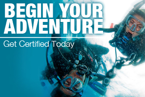 Begin Your Adventure