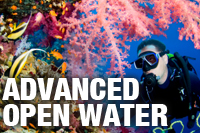 Advanced Open Water Diver