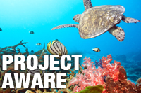 Project AWARE Specialist