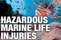 Hazardous Marine Life