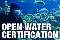 Open Water