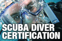 Scuba Diver